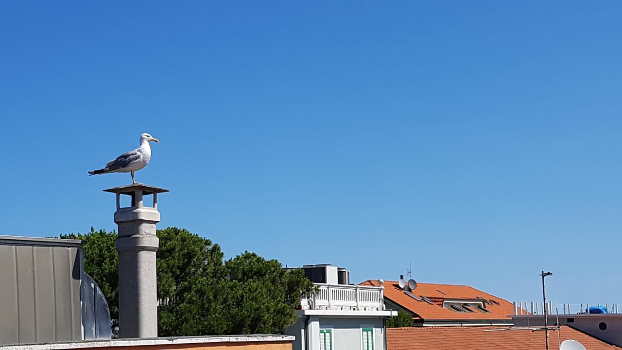 Hotel Le Pleiadi Bellaria-Igea Marina Exteriör bild
